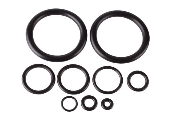 O Ring Seals Manufacturers in russia